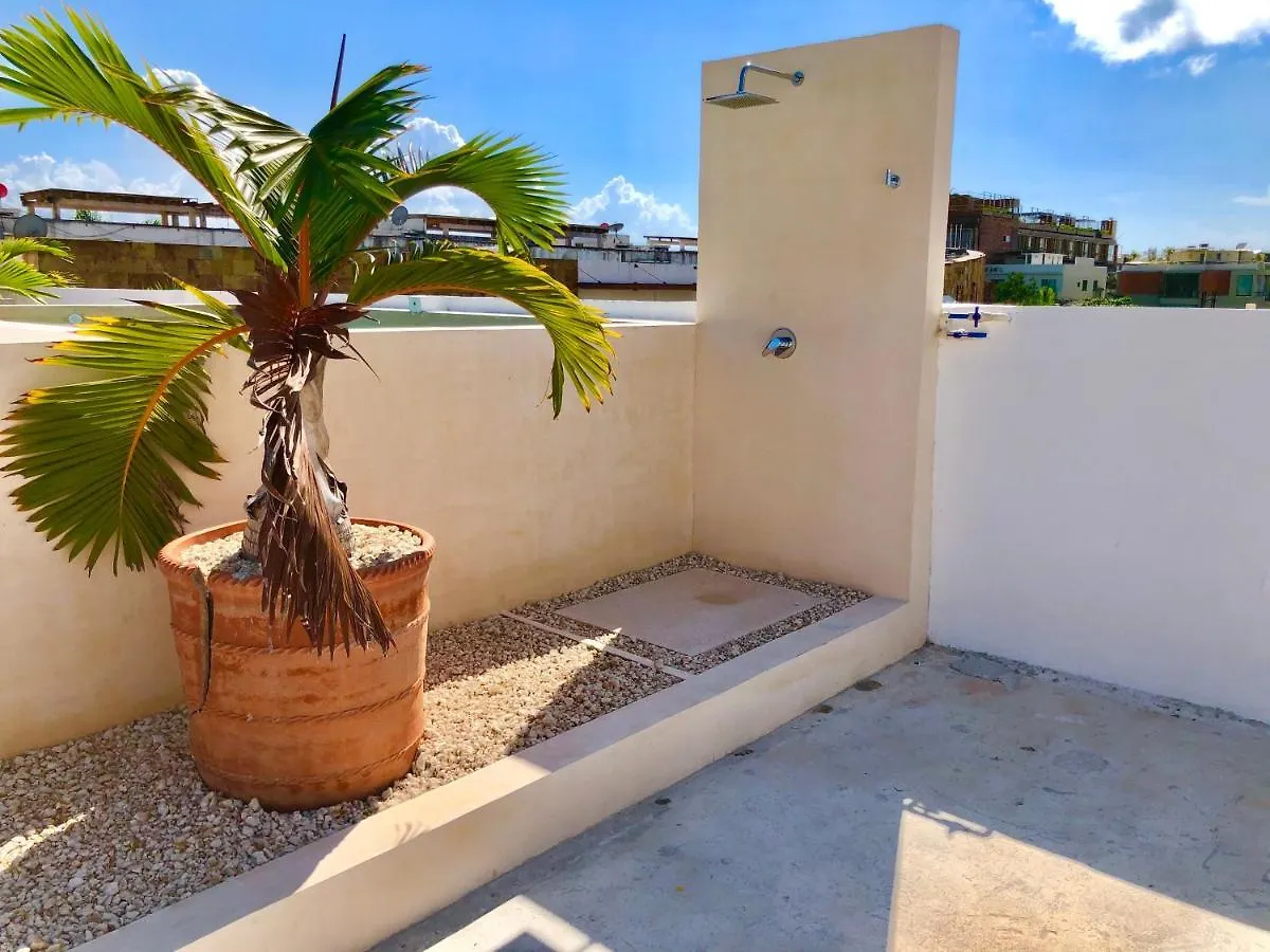 Silversands Hotel Boutique - 5Th Ave Playa del Carmen 5*,