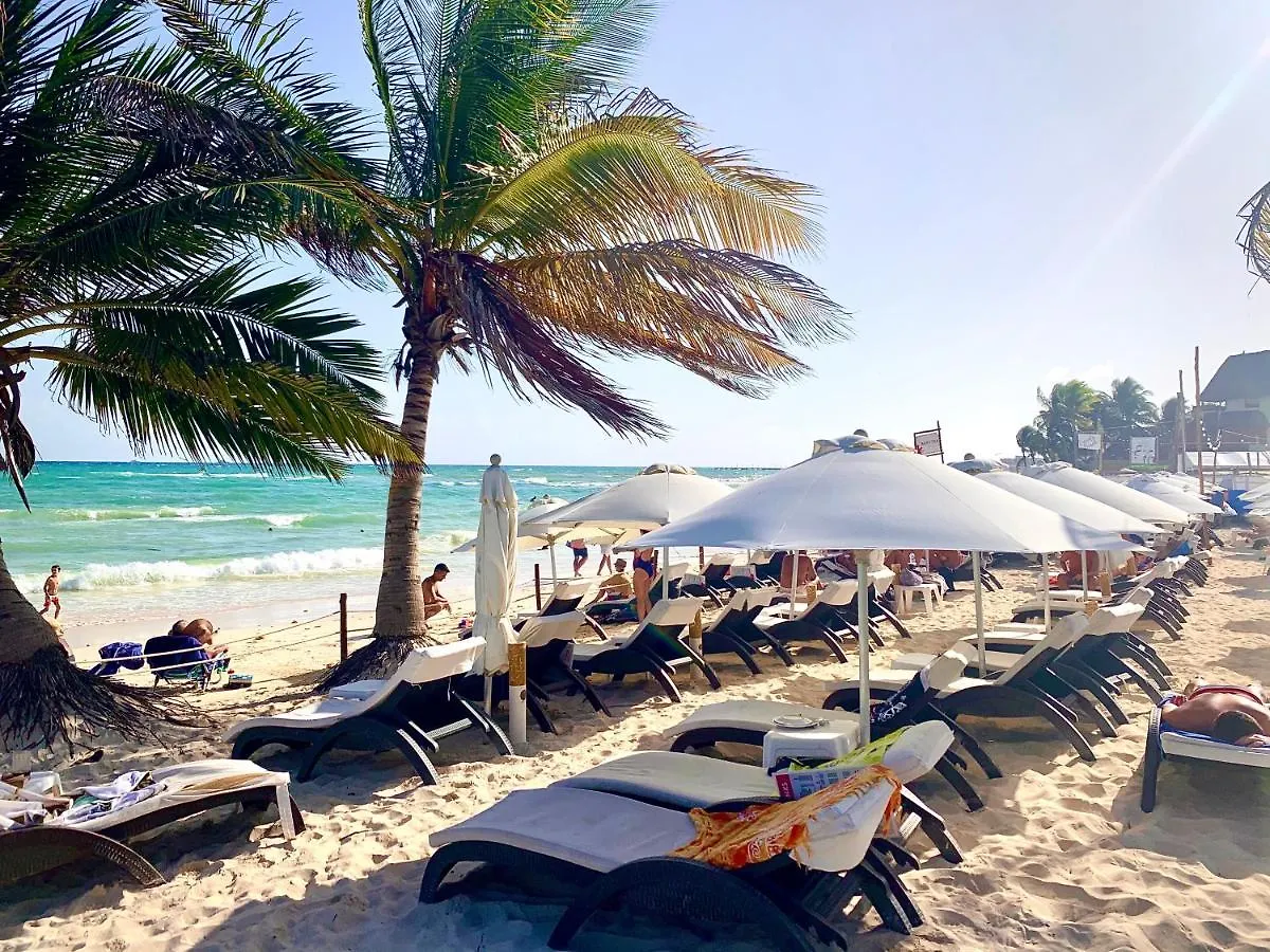Silversands Hotel Boutique - 5Th Ave Playa del Carmen
